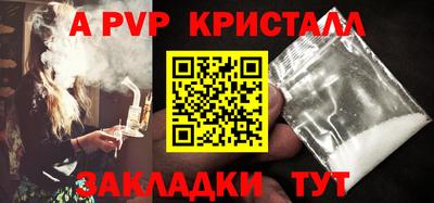 шишки Лесосибирск