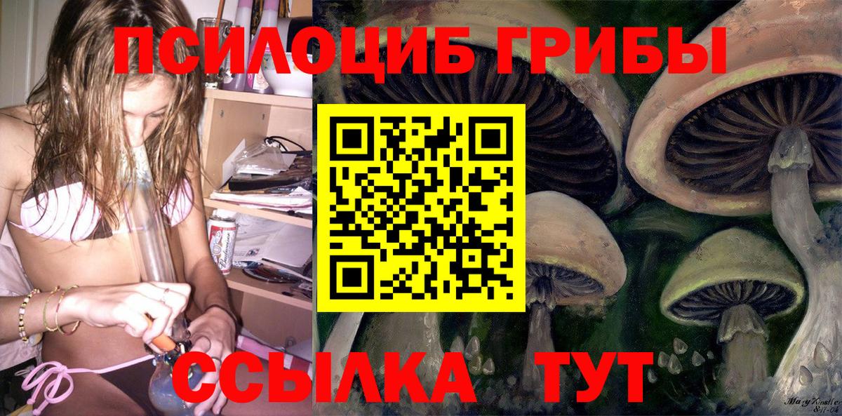 Галлюциногенные грибы Cubensis Шадринск