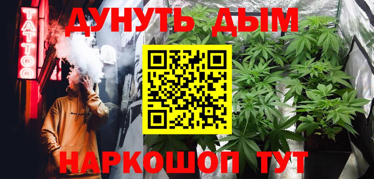 Шадринск  Марихуана сатива  Вход с VPN  Конопля сатива 